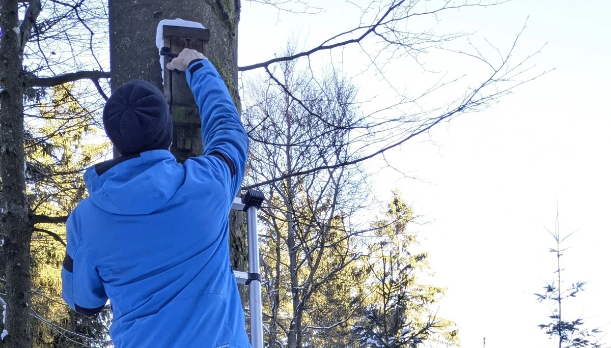 Nistkastenaktion | © DAV-Trier_Gudrun Zolitschka