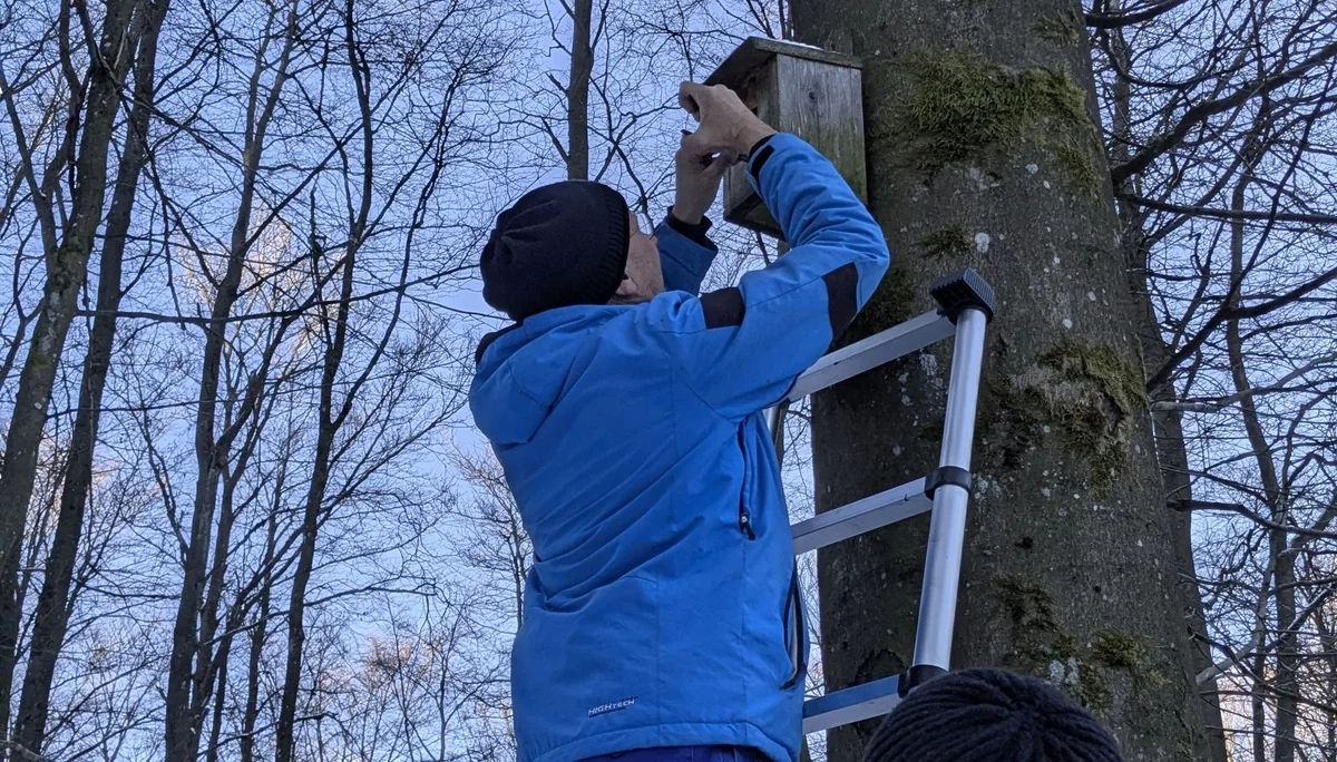 Nistkastenaktion | © DAV-Trier_Gudrun Zolitschka