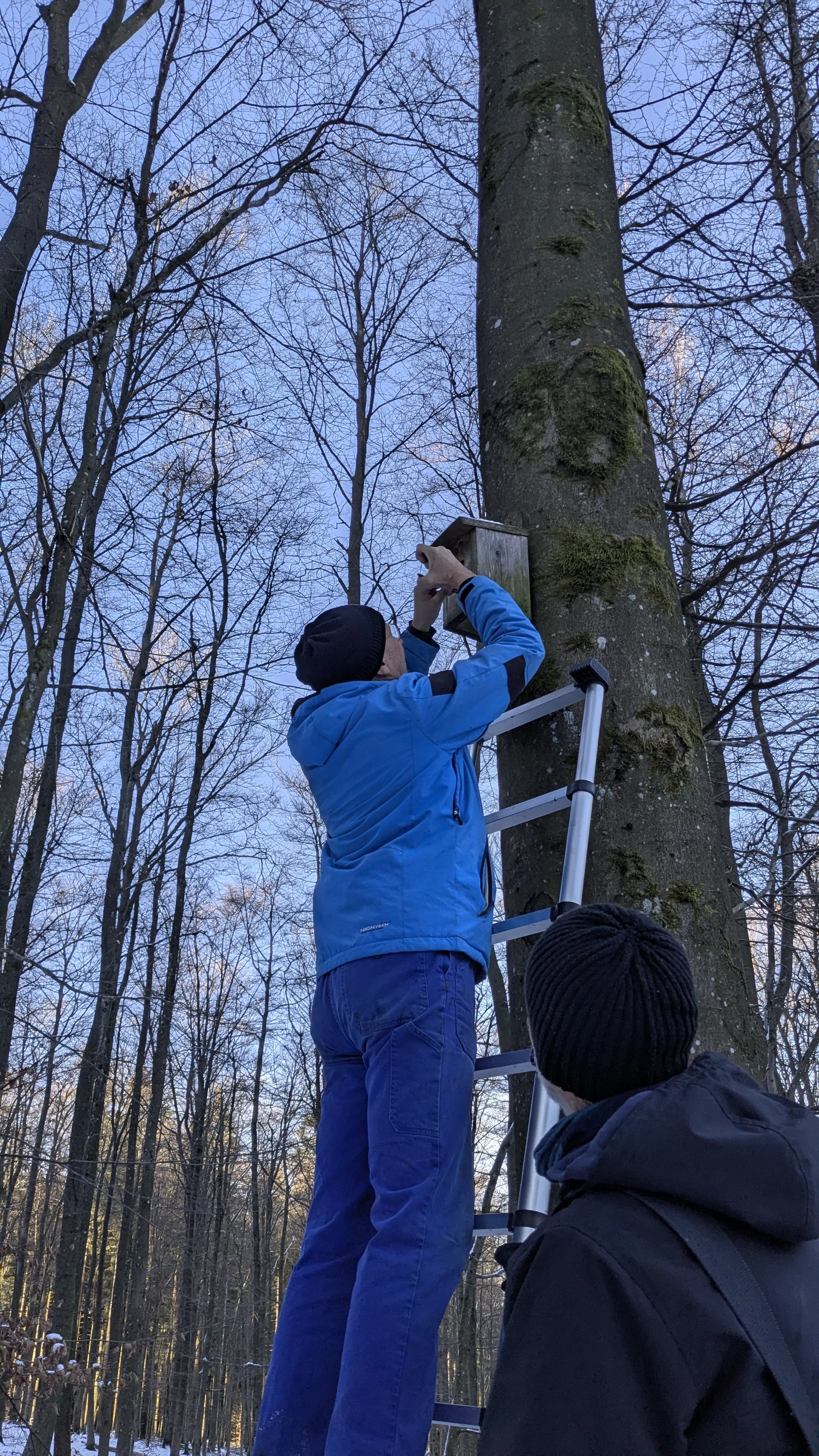 Nistkastenaktion | © DAV-Trier_Gudrun Zolitschka