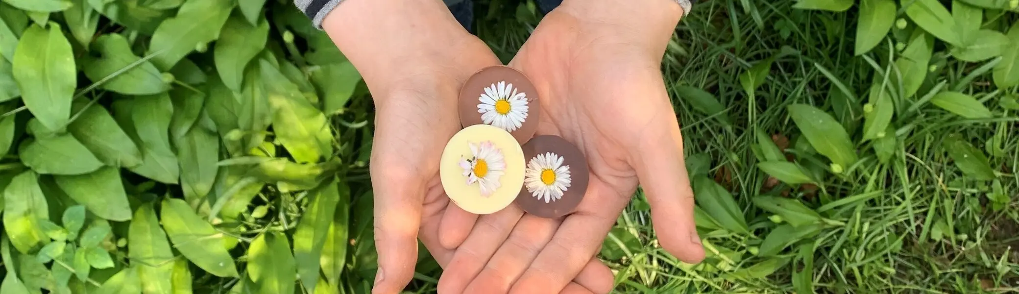 Ein Kind mit einem gepflückten Gänseblümchen | © Tina Gauß