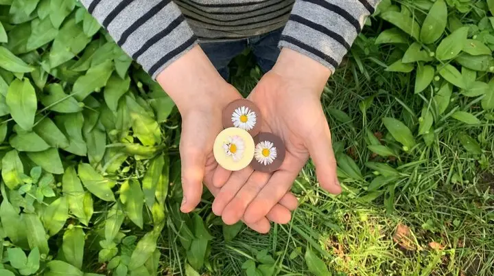 Ein Kind mit einem gepflückten Gänseblümchen | © Tina Gauß
