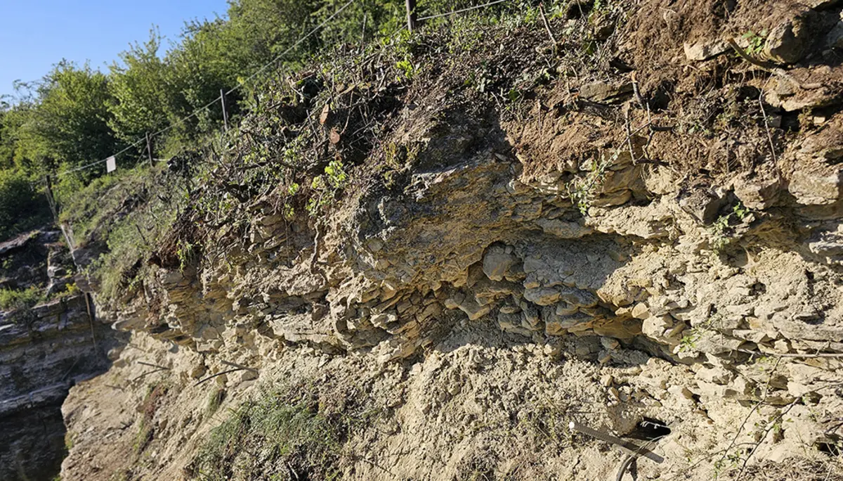 Kletterfelsen Igel | © DAV Trier