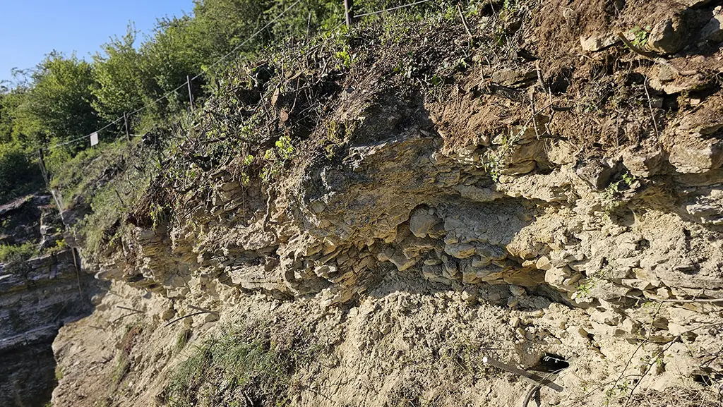 Kletterfelsen Igel | © DAV Trier