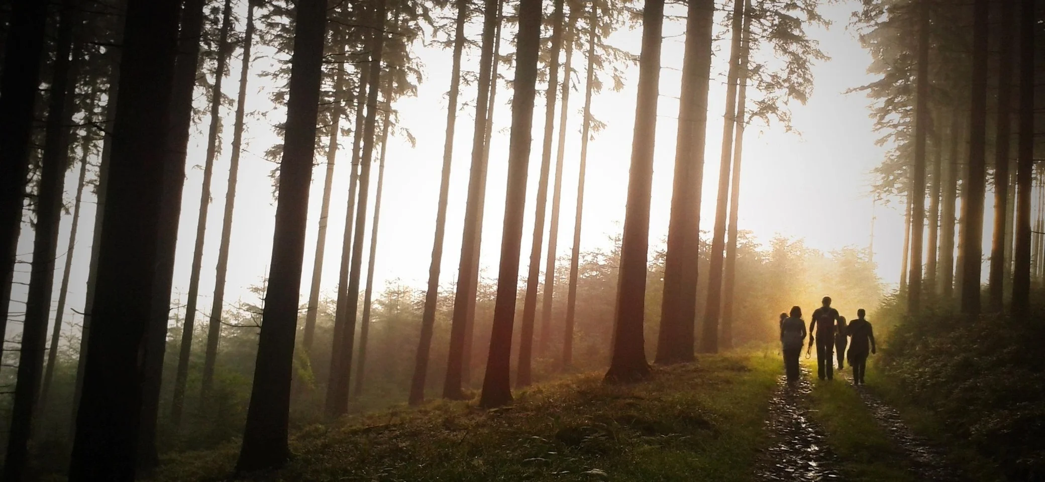 Familie wandert im Wald | © Simon Wijers - Pixabay