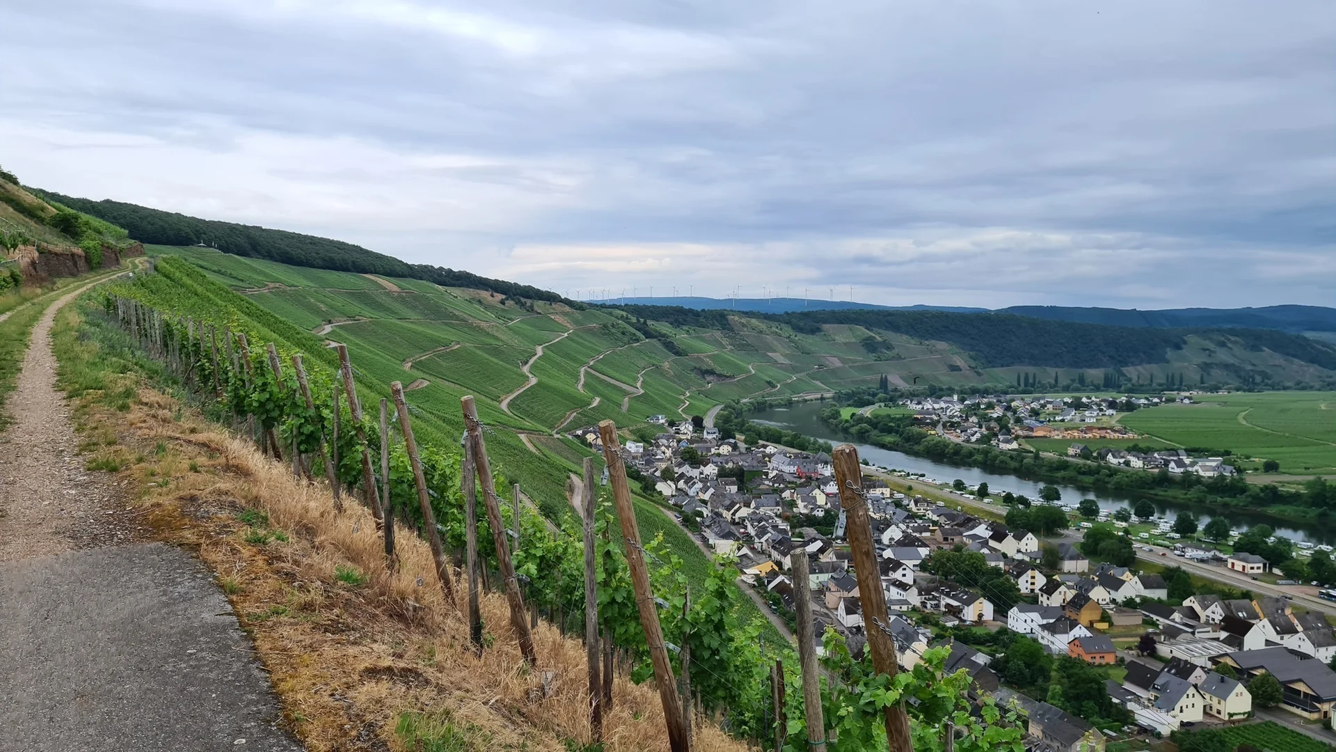 Mosel bei Klüsserath | © DAV Trier