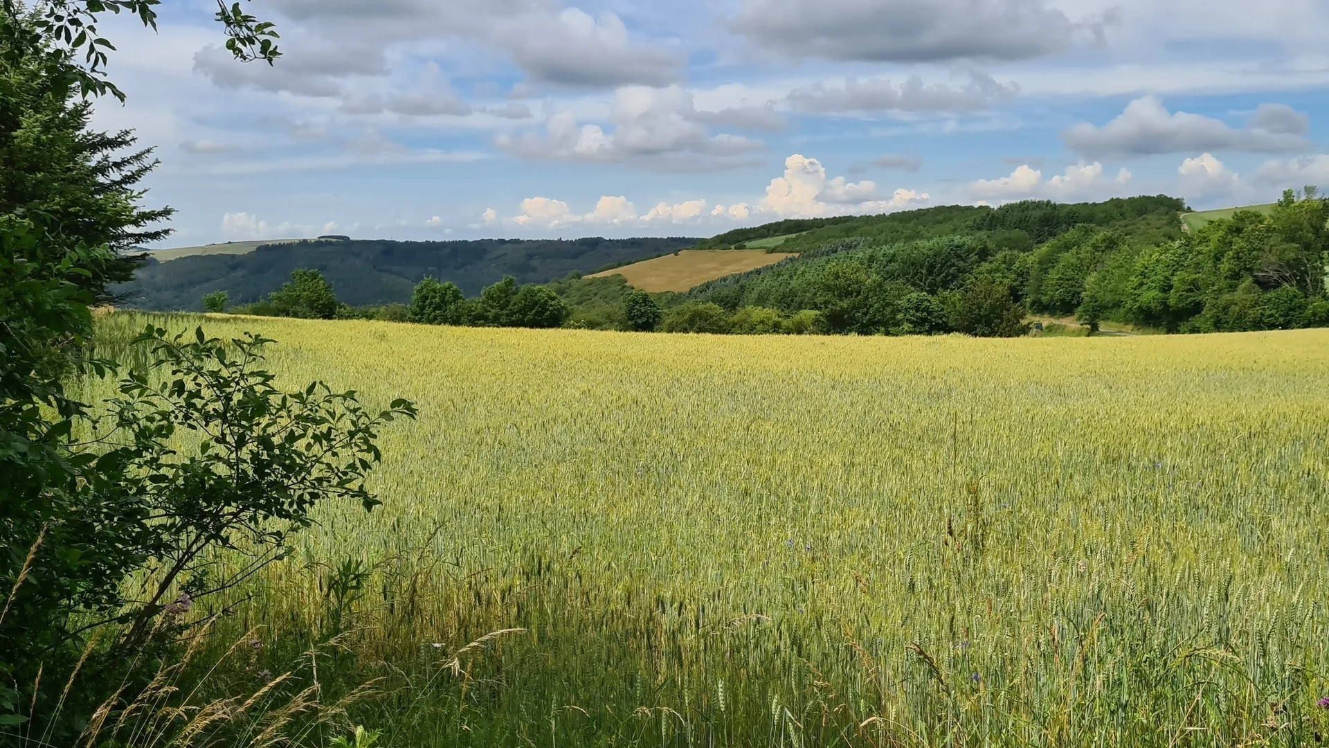 Ruwertal | © DAV Trier