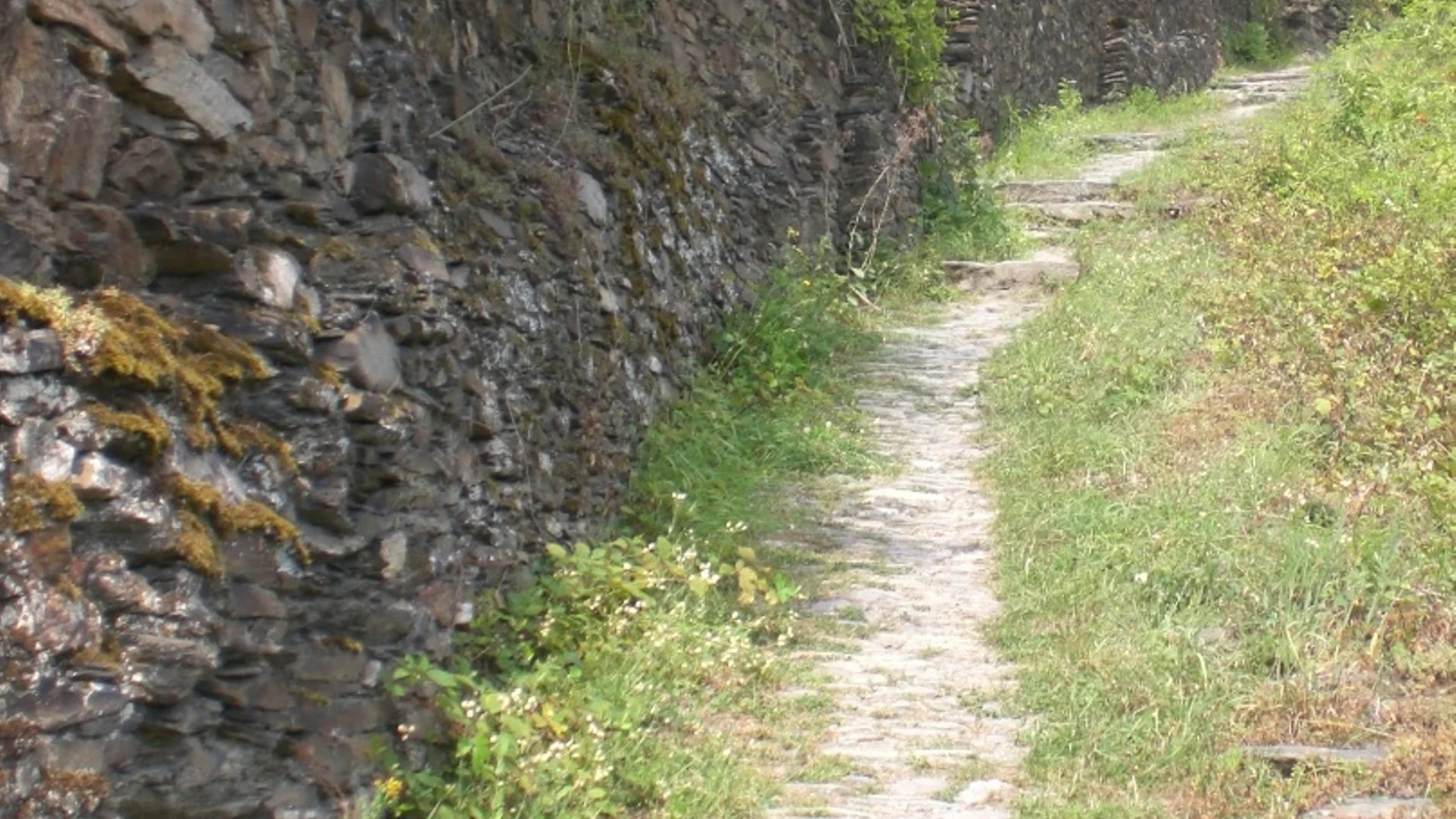 MIchael Birkel | © DAV Trier Michael Birkel