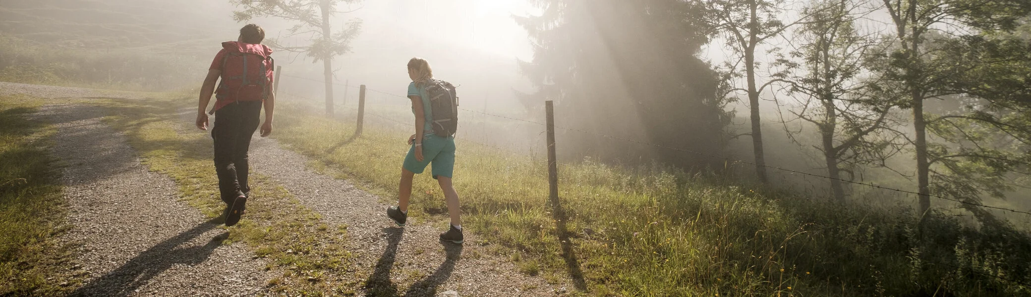 Gemeinsamer Aufstieg bei Sonnenaufgang - die Sonne scheint durch den Nebel | © DAV/Hans Herbig